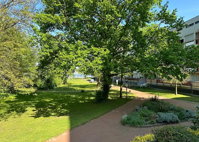 Meer Heimat Am Steinhuder Meer